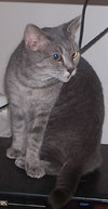 Angel (adoption pending)