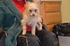 Annie