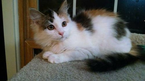 Dorothy