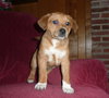 Arnie