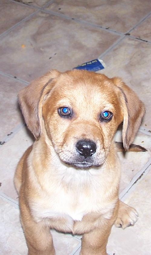 Gomez(JK)- Adoption Pending