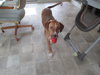 Dixie