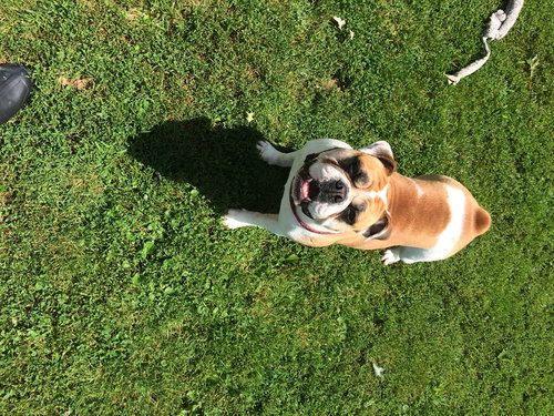 Lucy