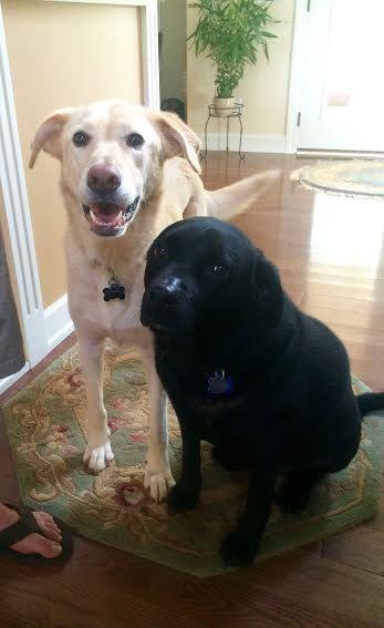 Max and Molly