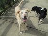 Max and Molly