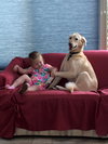 Max and Molly