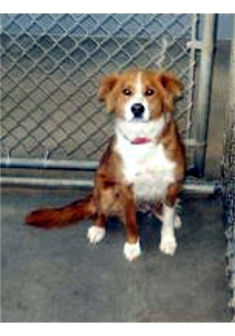 Maggie