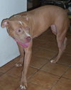 Lola