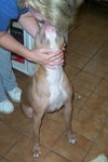 Lola