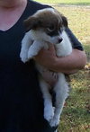 Teeny