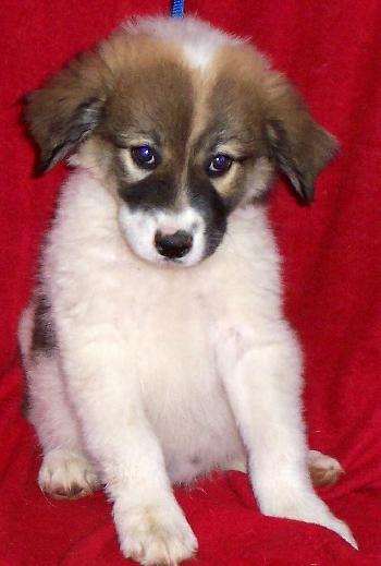 Teeny