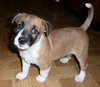 Charlie
