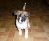 Charlie