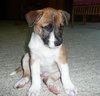 Charlie
