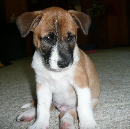 Charlie
