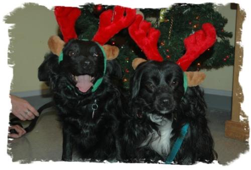 Maxi & Murphy