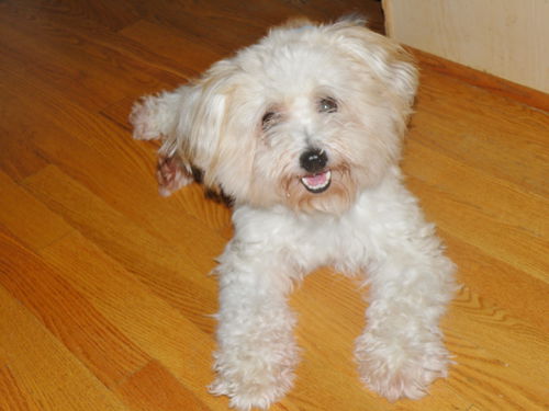 Charlie
