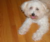 Charlie