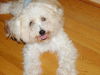 Charlie