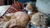 Sidney & Cam