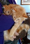 Sidney & Cam