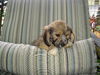 Jacky