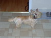 Molly 