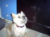 Molly 
