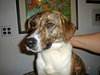 Amy