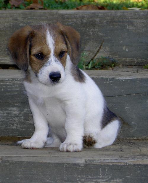 Billy