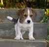 Billy