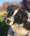 Finley