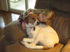 Trish