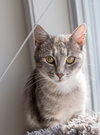 Gina