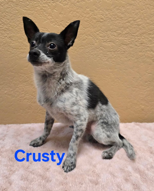 Crusty