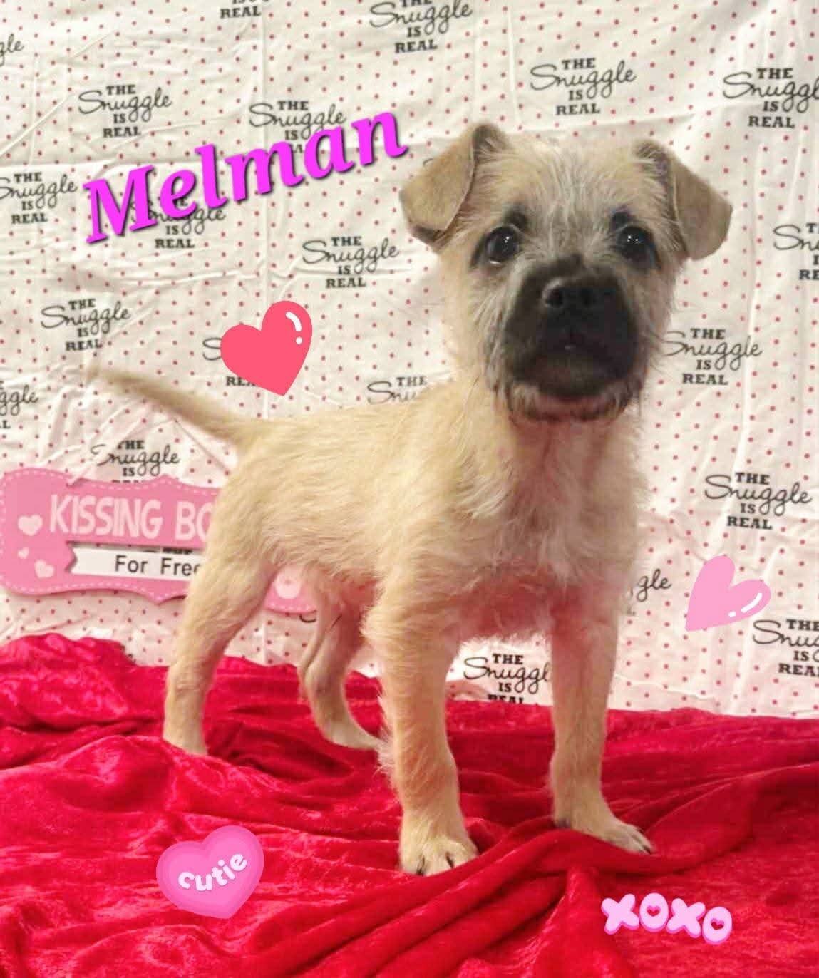 Melman