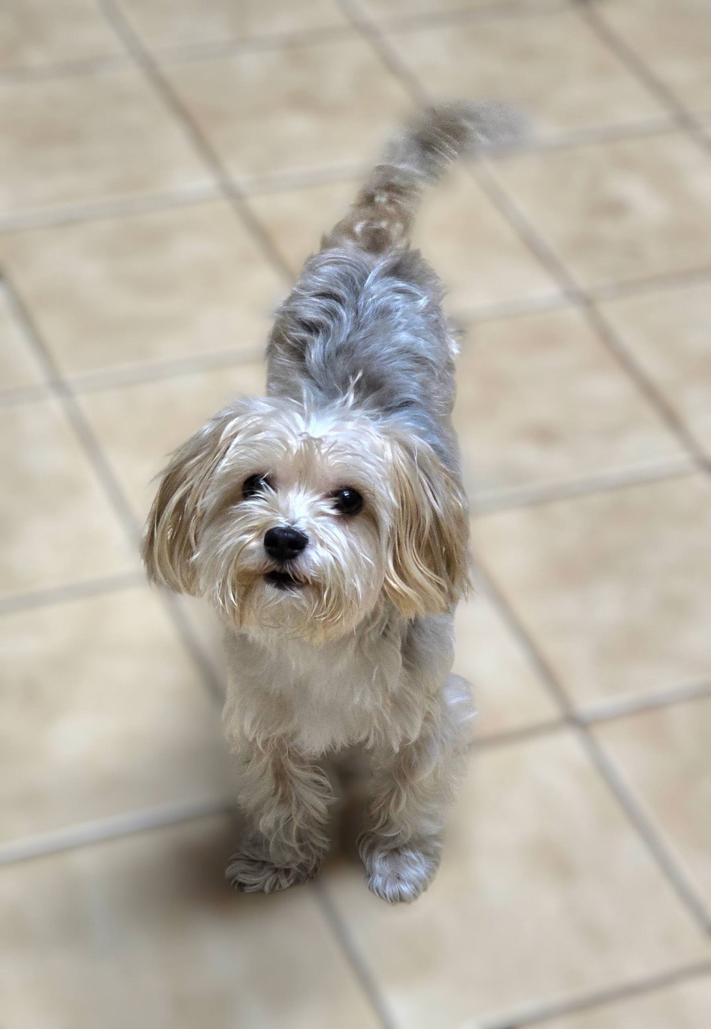 Minnie