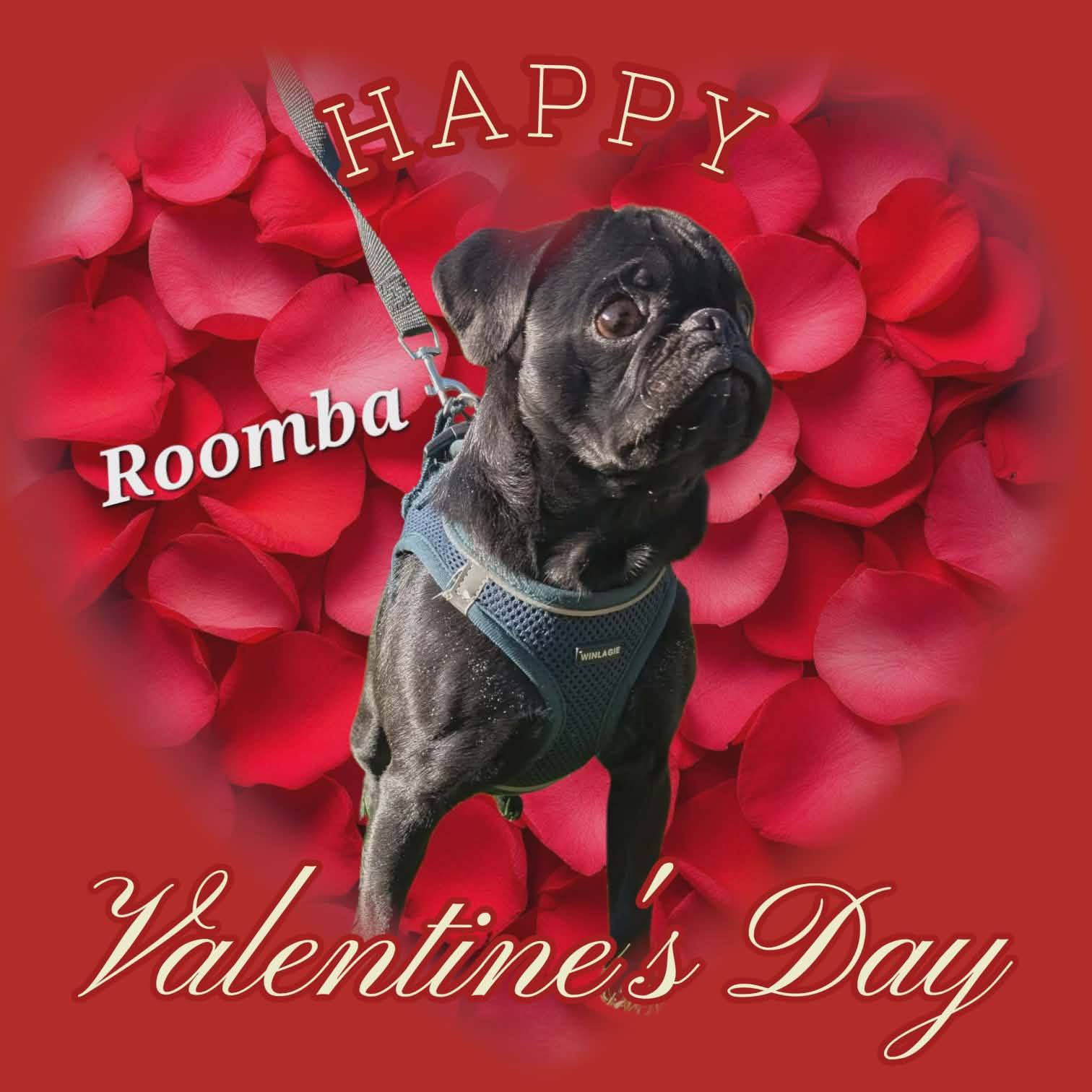 Roomba