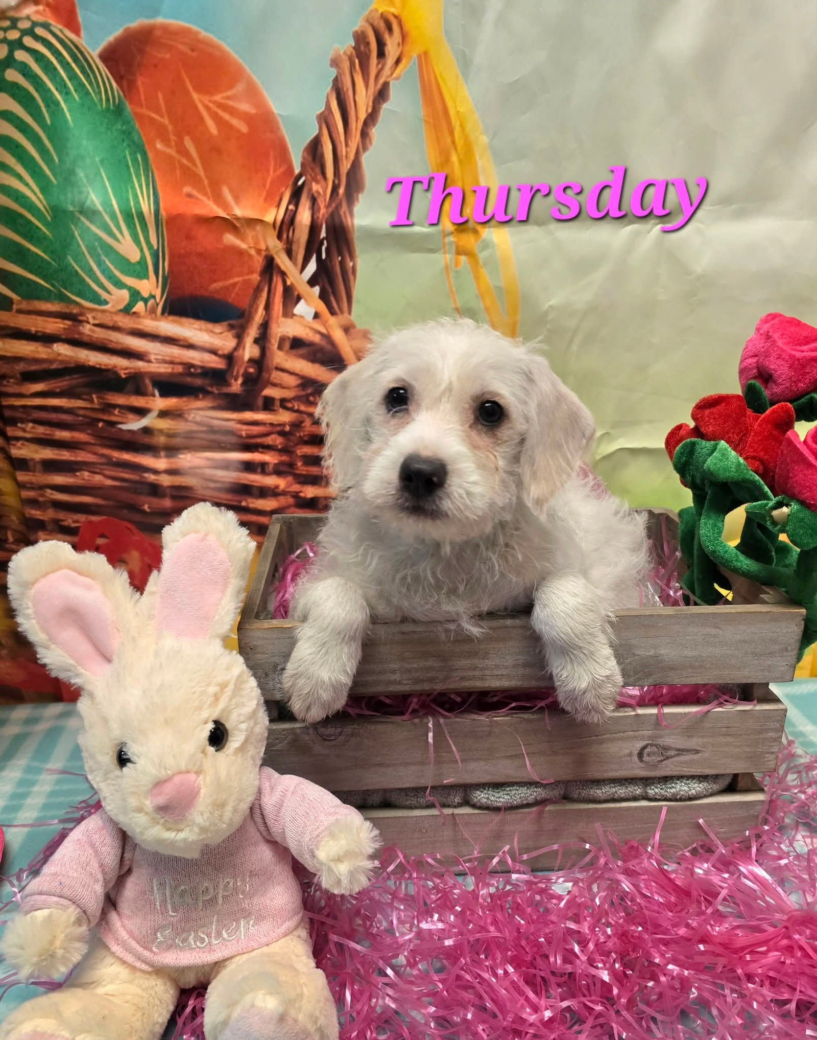 Thursday
