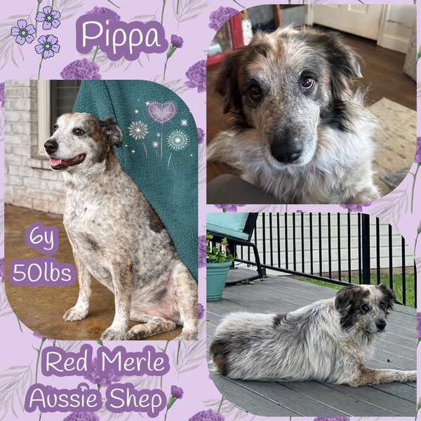 Pippa