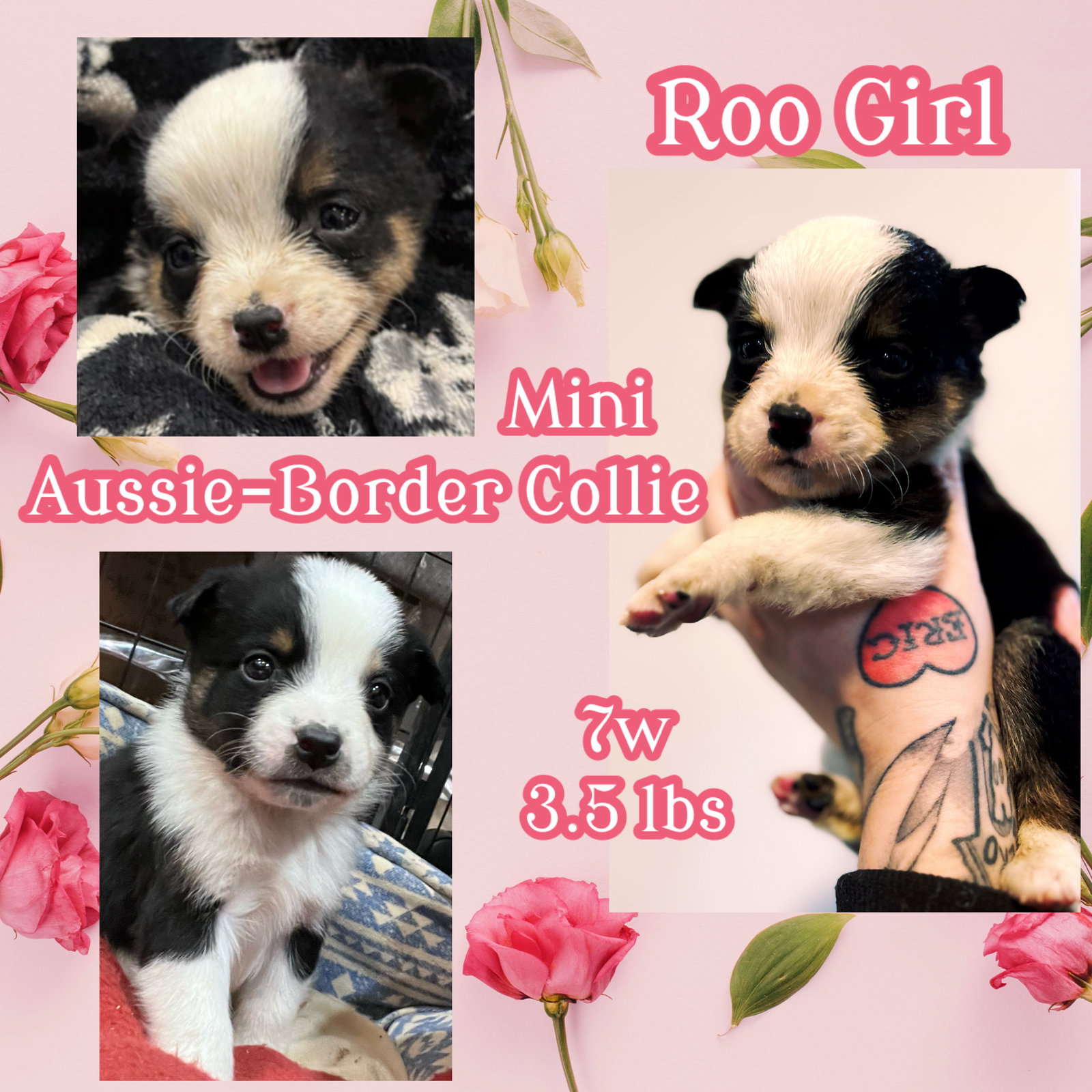 Roo Girl Image