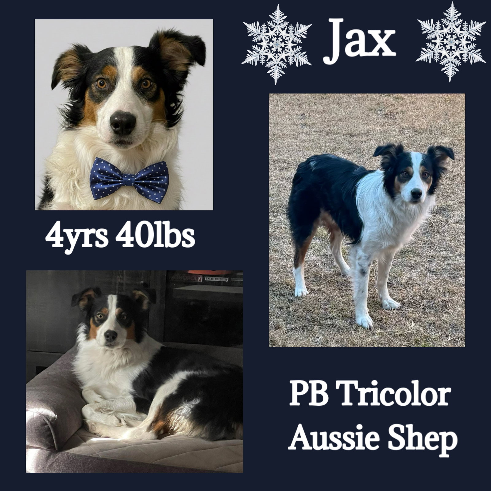 Jax Image