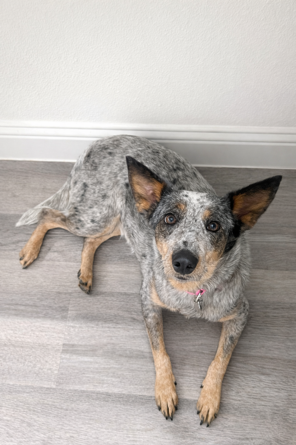 Skye