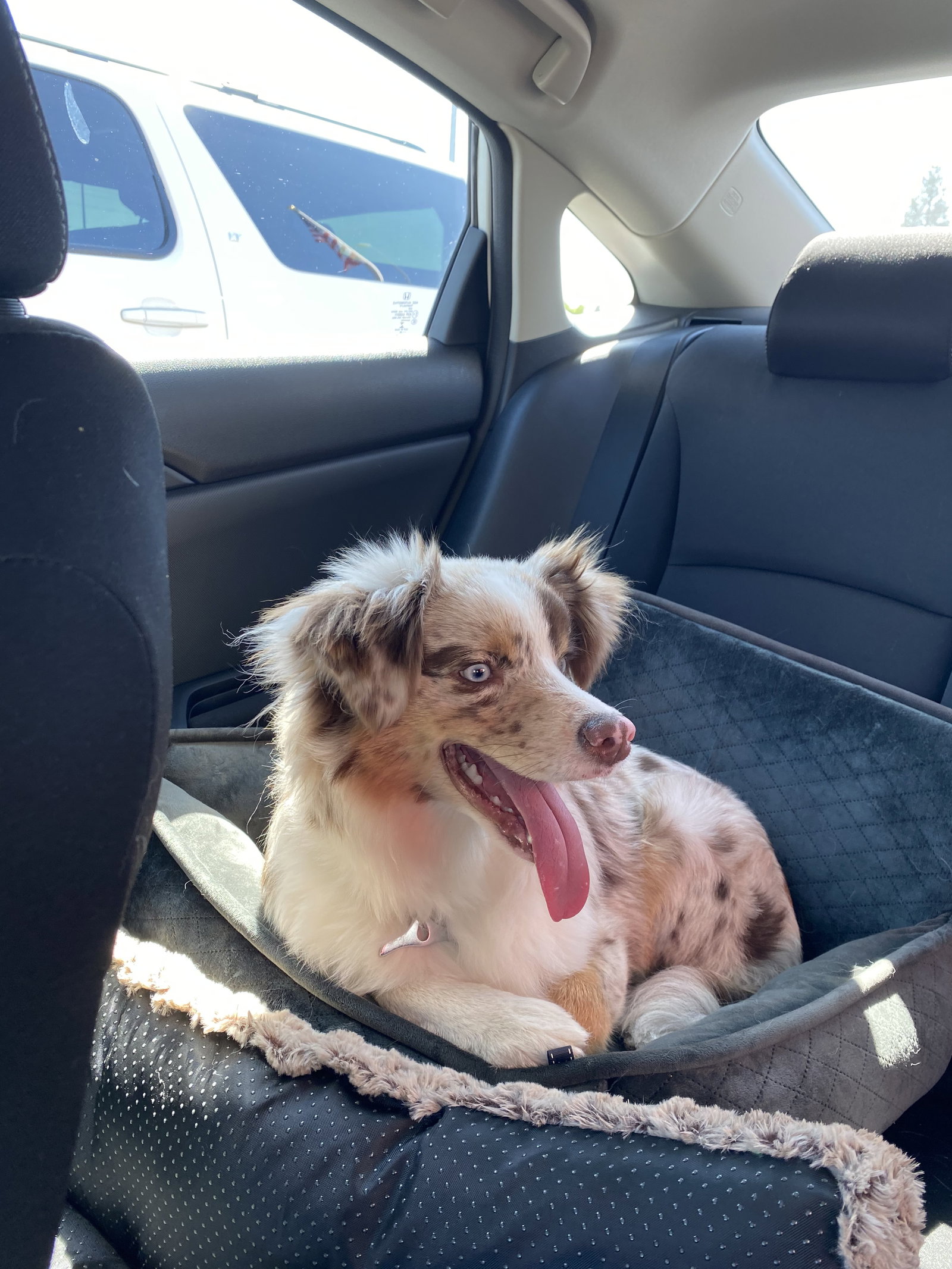 Milo
