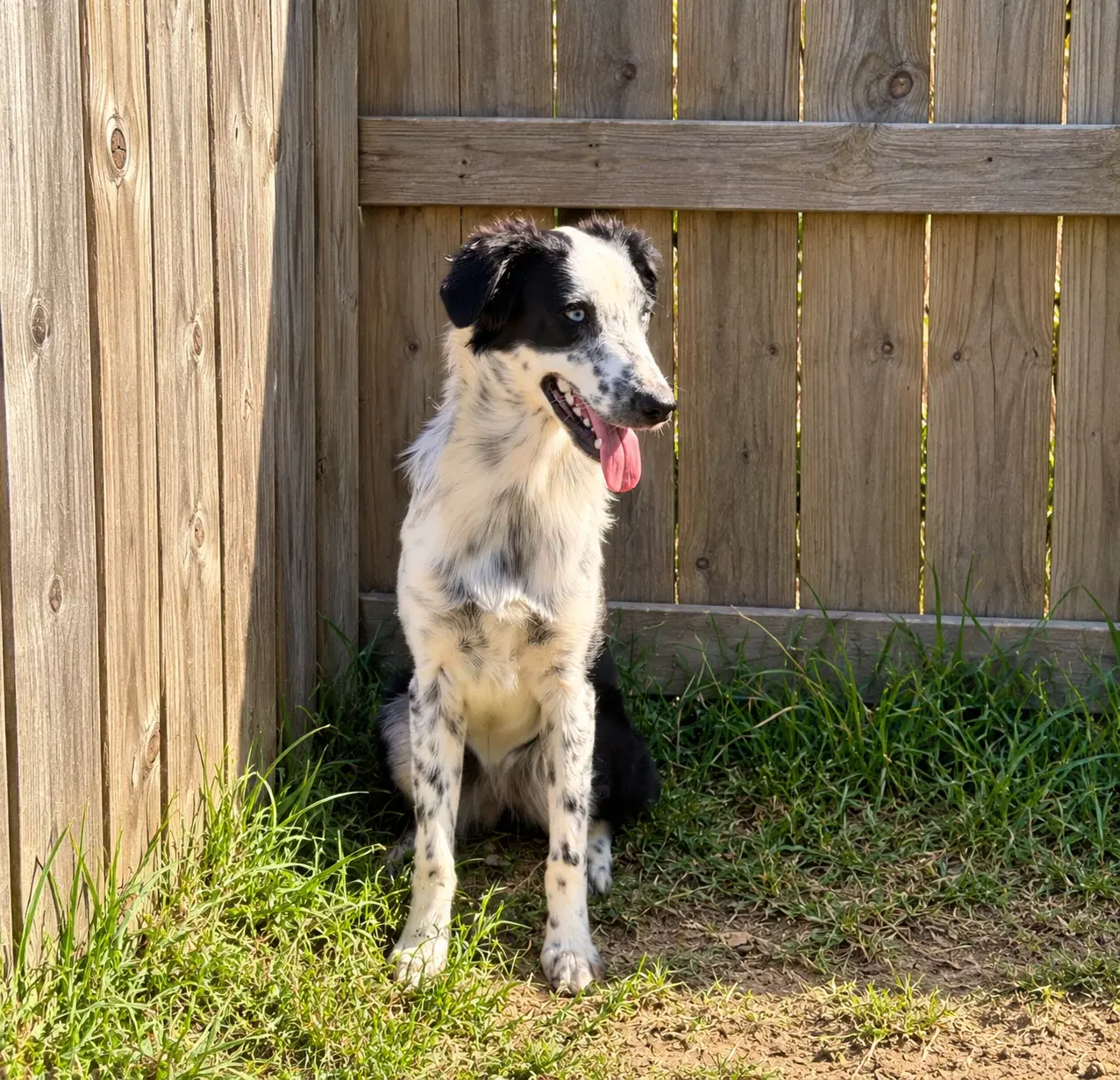 Rainey image 3