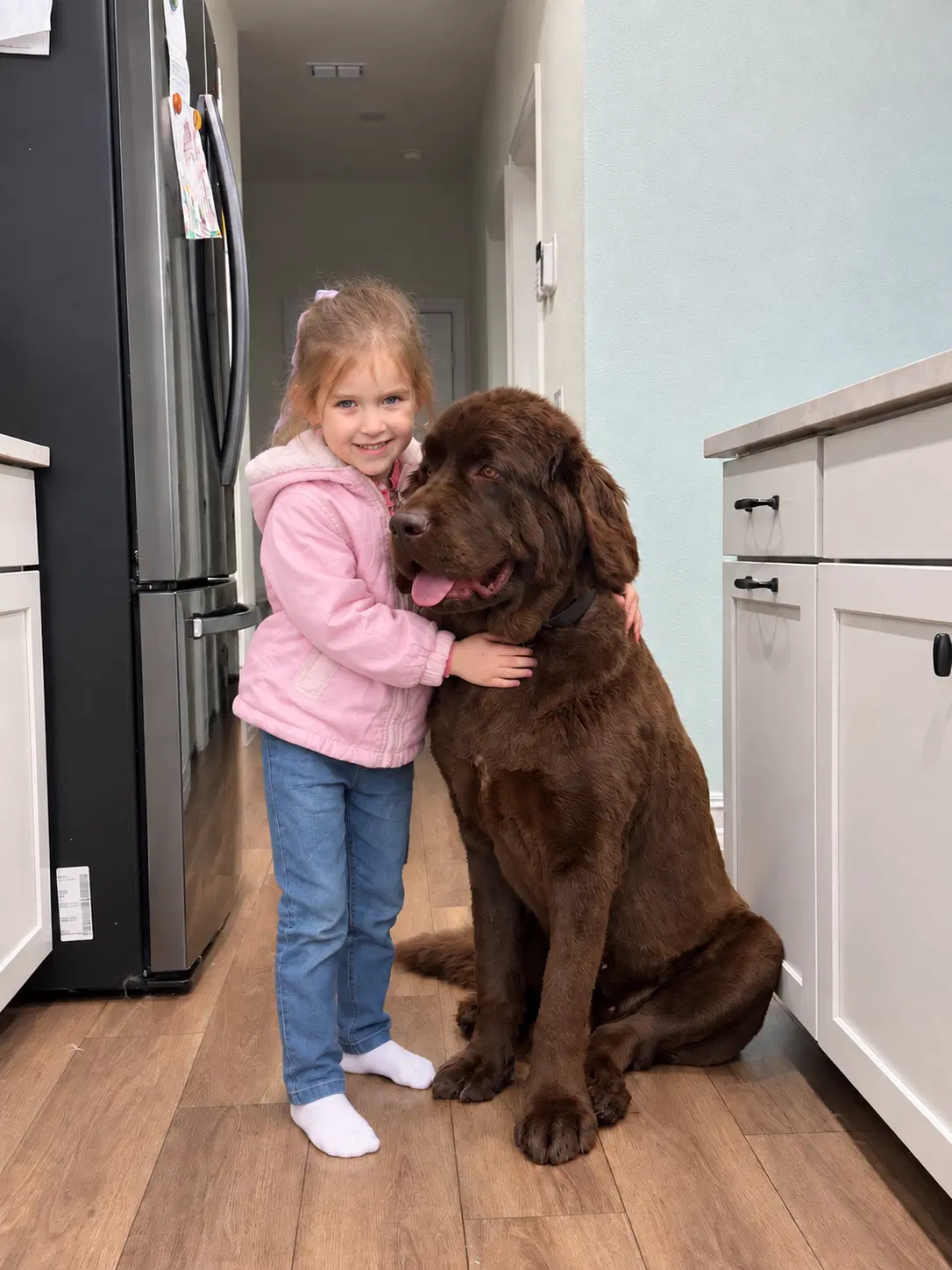 Coco image 3
