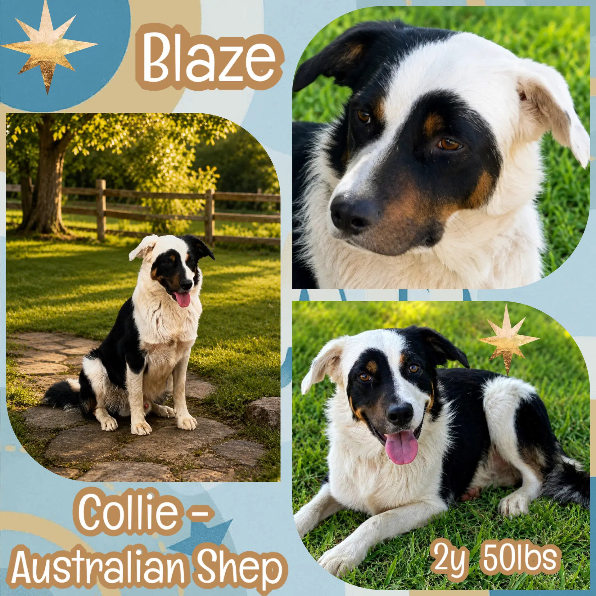 Blaze image 3