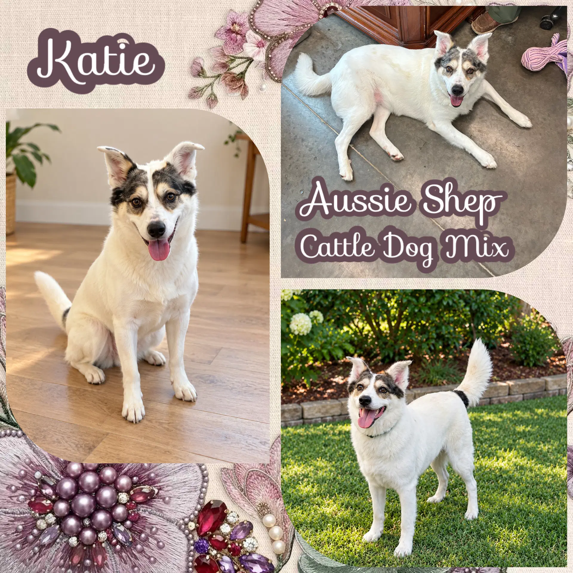 Katie image 2