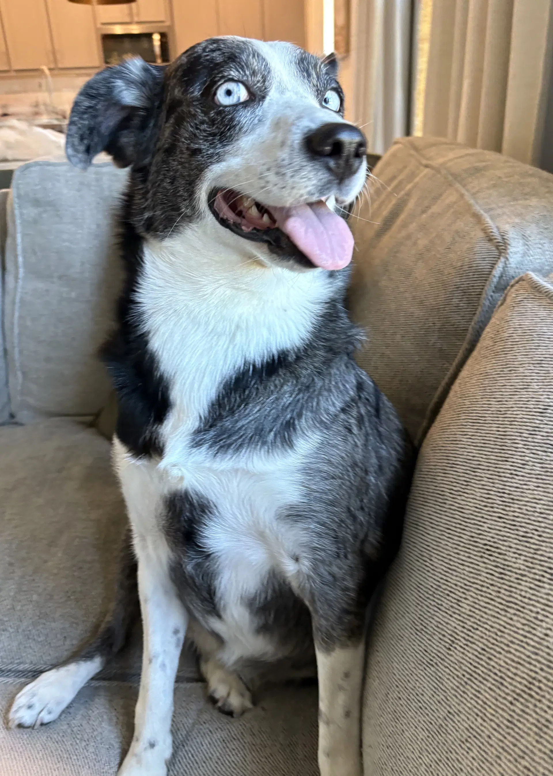 Skylar image 3