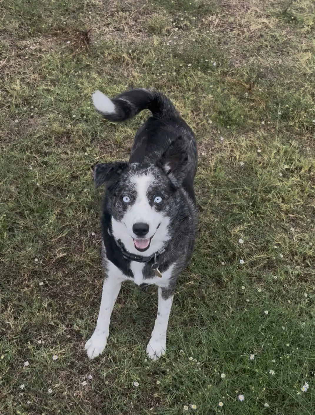 Skylar image 4